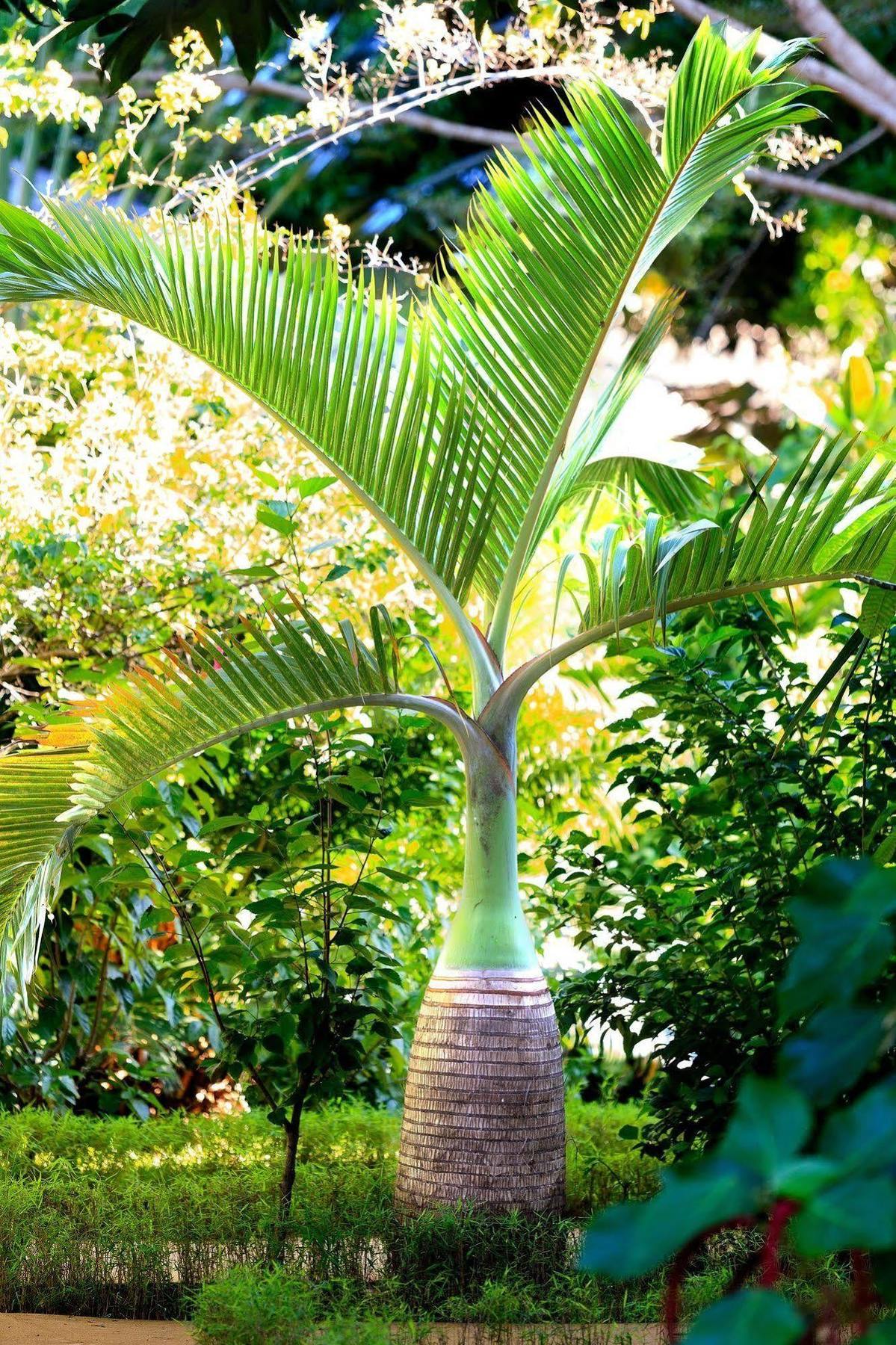 Nosy Be Hotel & Spa Ambaro Exterior foto